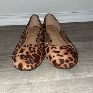 LaneBryant platforms